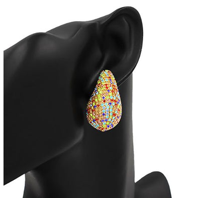 Charm Earrings